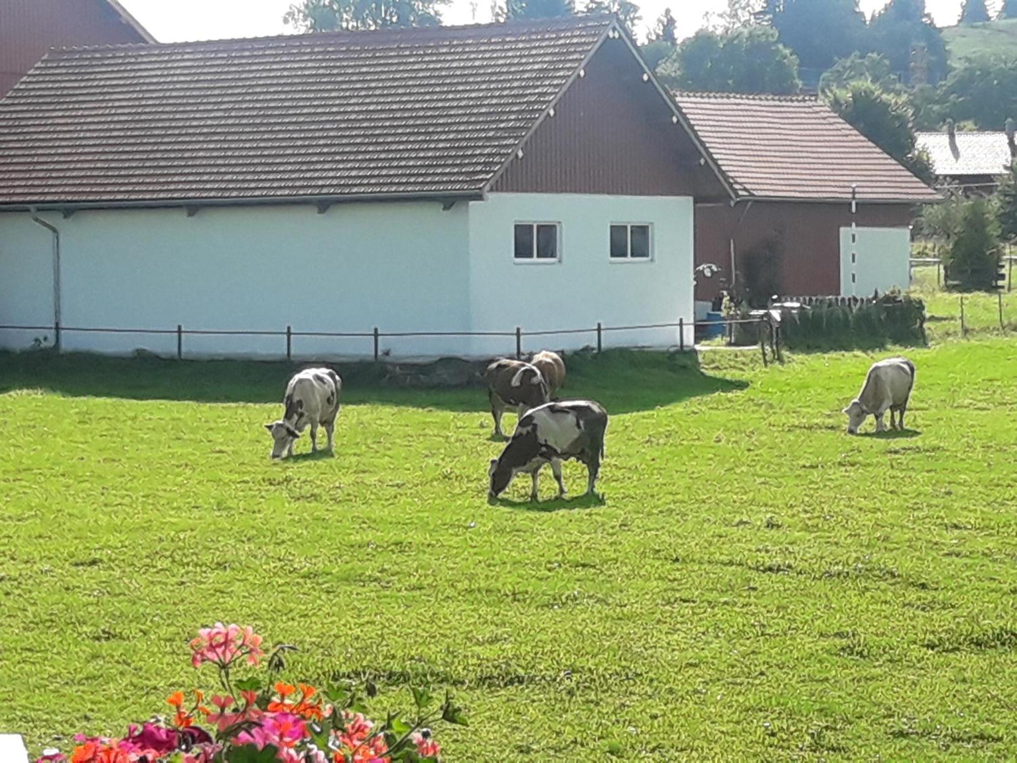 Gaestehaus Reisacher - Einzelzimmer * Peiting